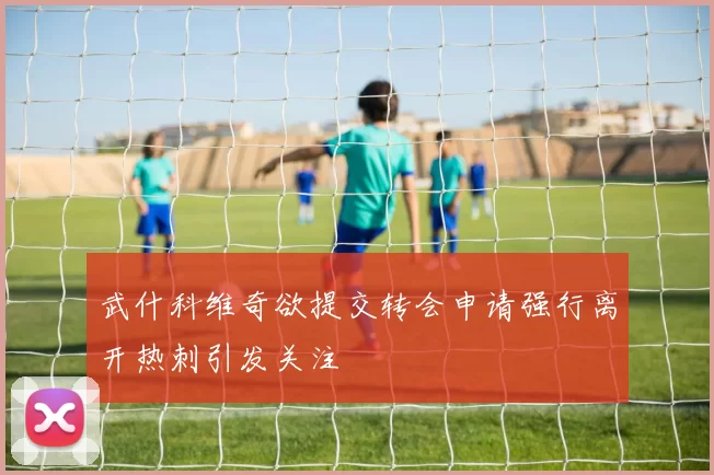 武什科维奇欲提交转会申请强行离开热刺引发关注