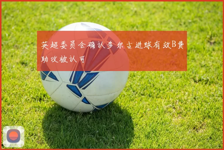 英超委员会确认多尔古进球有效B费助攻被认可